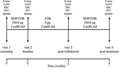 Breathomics for Assessing the Effects of Treatment and Withdrawal With Inhaled Beclomethasone/Formoterol in Patients With COPD